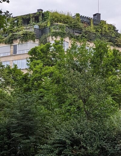 Green building