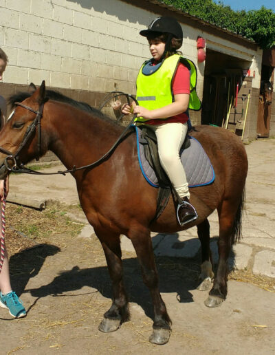 Anton horse